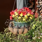 Fedler * Blankenburg (Harz)