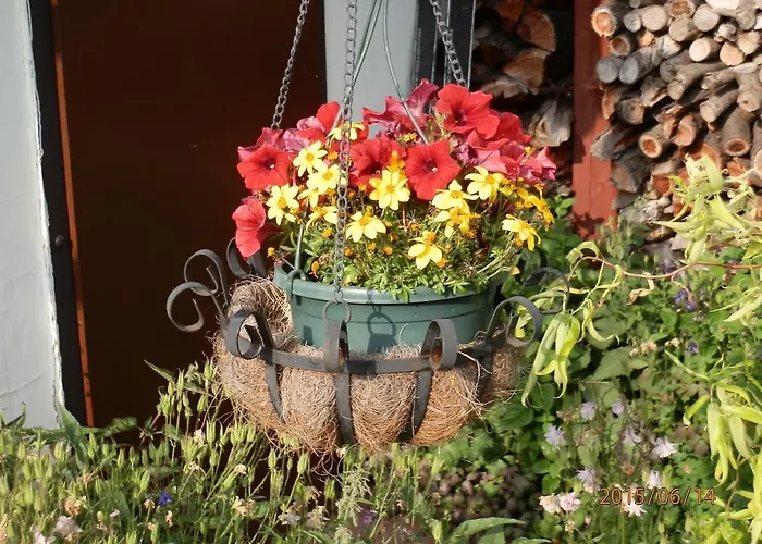 Fedler * Blankenburg (Harz)